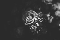 details-20