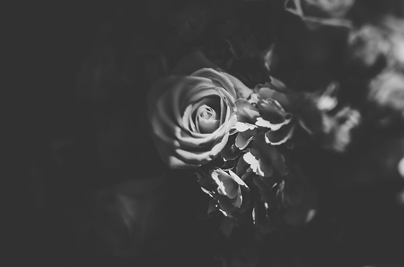 details-20
