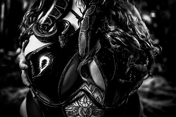 DSC_5582