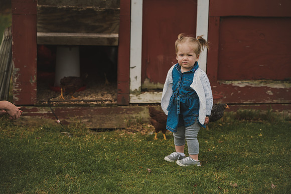 stehle-2019-21