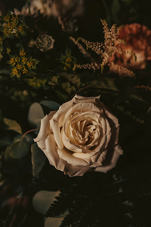 untitled-7-7