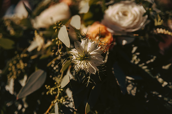 untitled-26-7