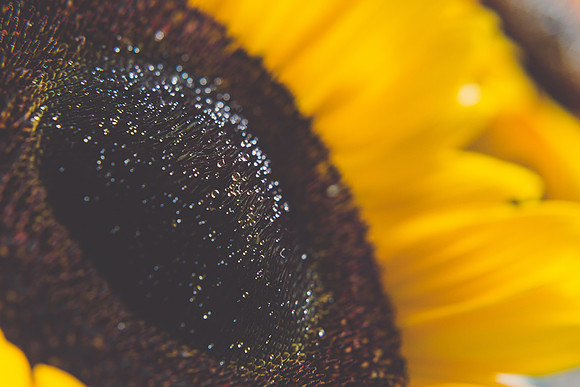 DETAILS-44