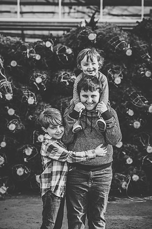joycefamily-13