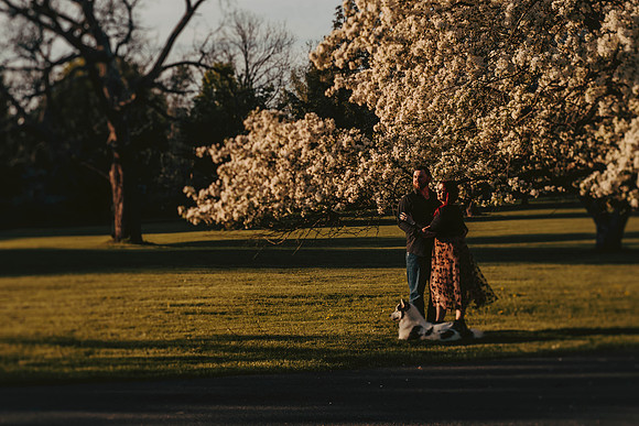 engagement-174