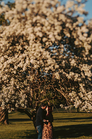 engagement-159