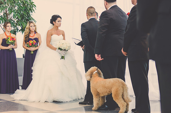 ceremony-155
