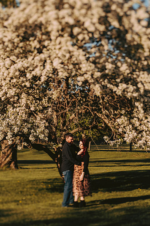 engagement-157