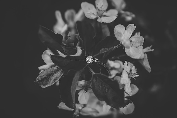 martylovesmal-173