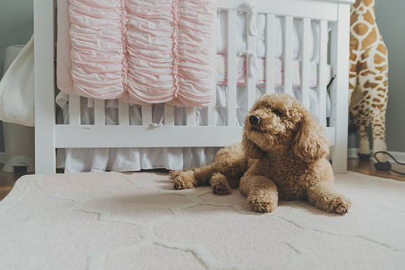 babyrosalie-32