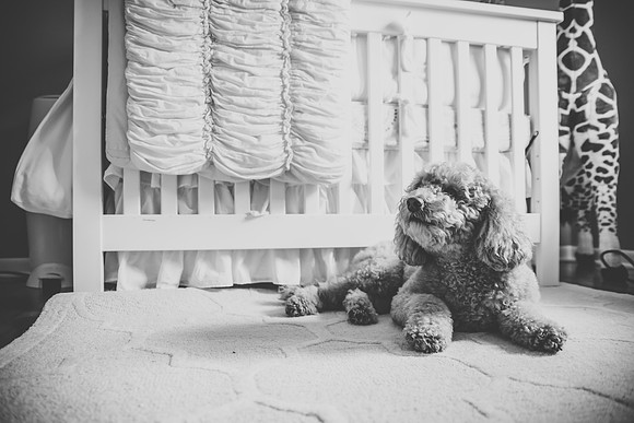 babyrosalie-31