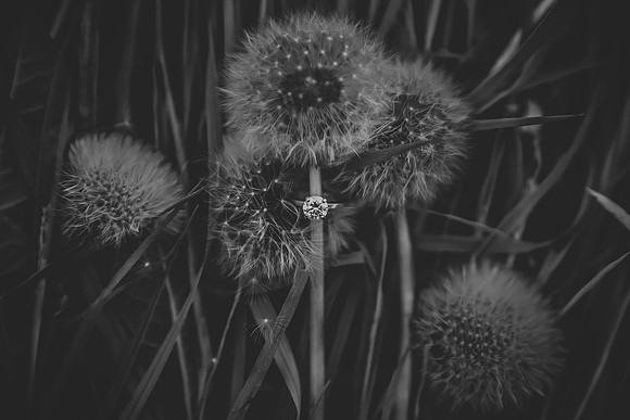 martylovesmal-176