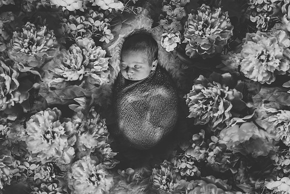 babyrosalie-86