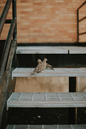 mknmaternity-20