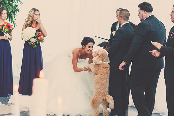ceremony-261