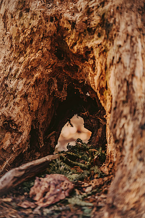 forestfolkacademy-117