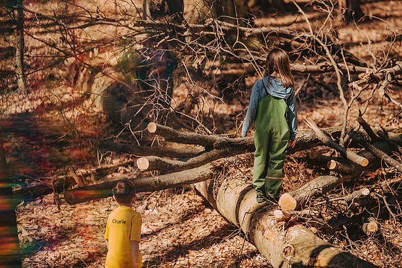 forestfolkacademy-197