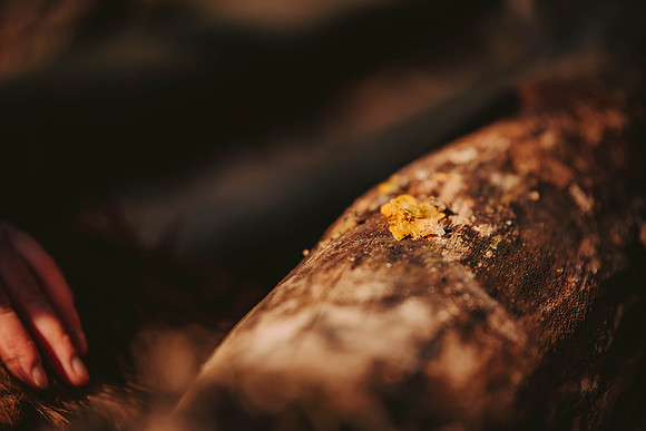 forestfolkacademy-204