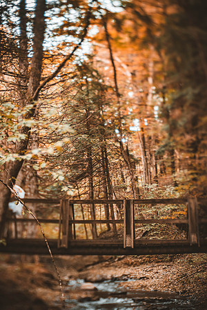 groupshoot_forest-194