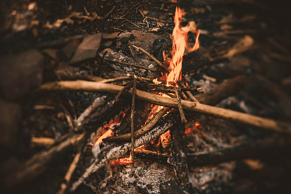 groupshoot_forest-1