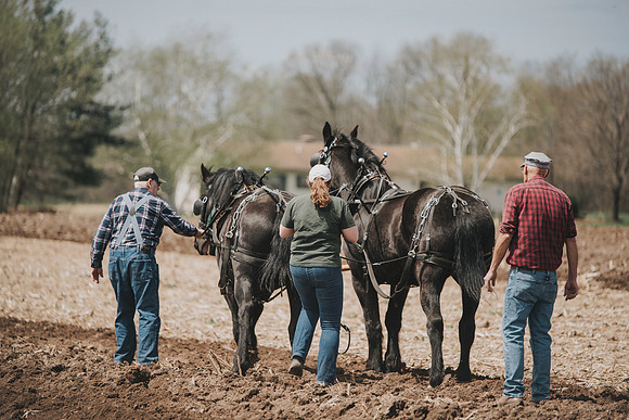 tractorpull-72