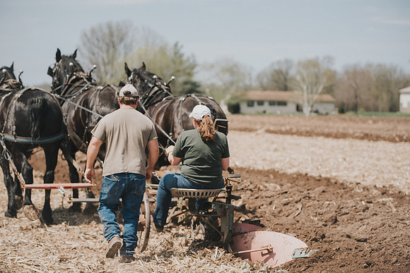 tractorpull-61