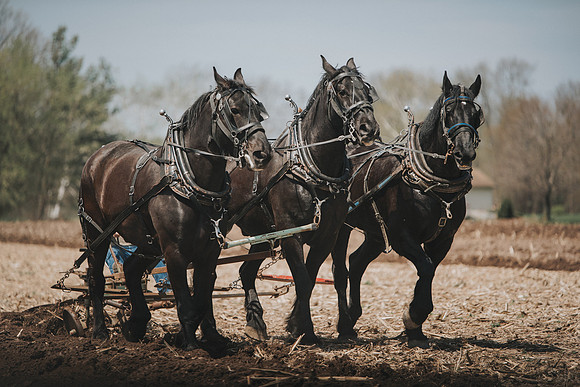 tractorpull-11
