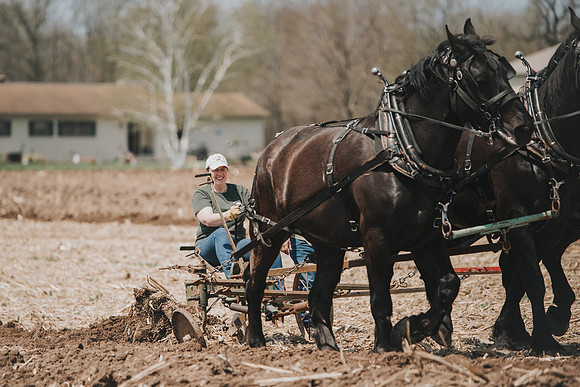 tractorpull-51