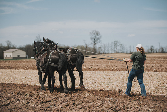 tractorpull-77