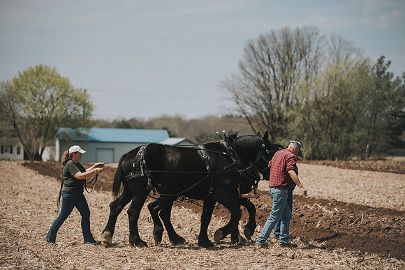 tractorpull-70