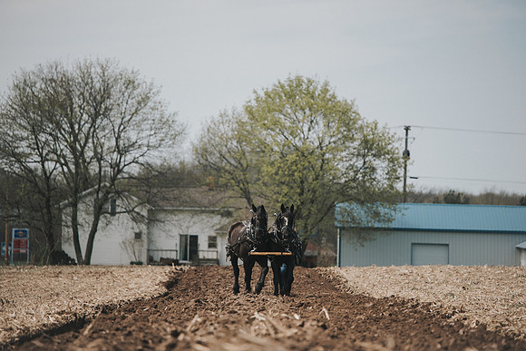 tractorpull-73