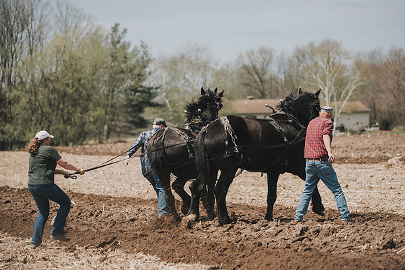 tractorpull-71