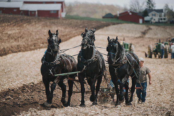 tractorpull-53