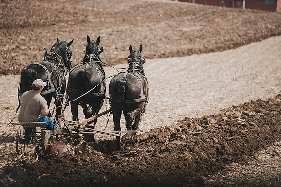 tractorpull-13