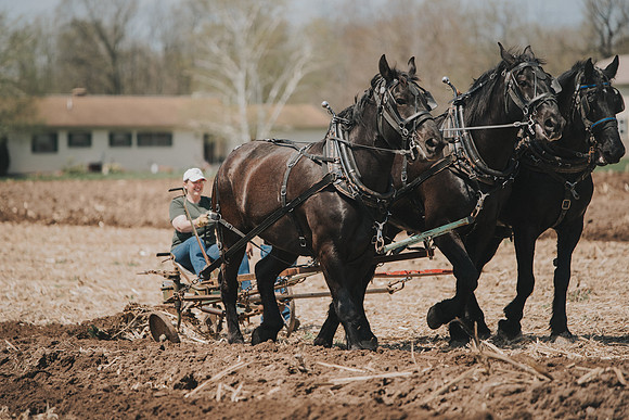 tractorpull-50
