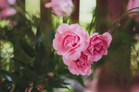 details-1