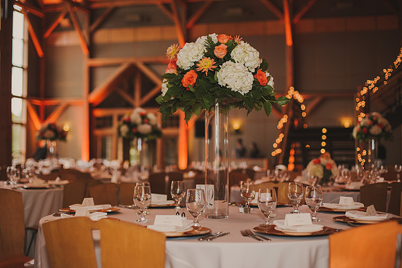 reception-13