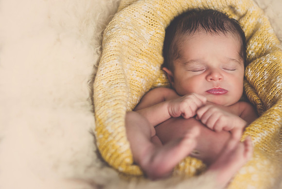 ZEKE-11