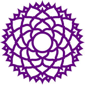 website_crown301