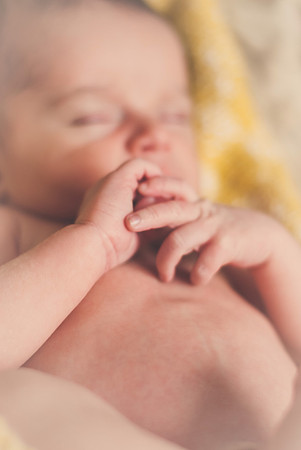 ZEKE-24