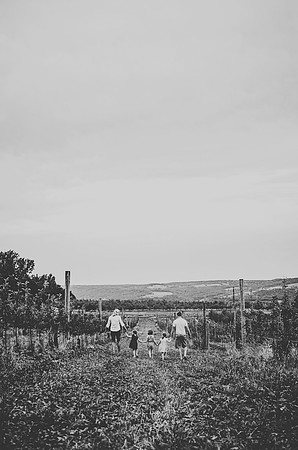 west-46