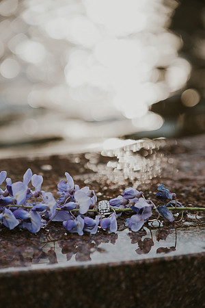 cassaundragetsengaged-66