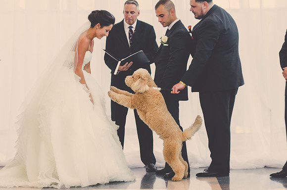 ceremony-263
