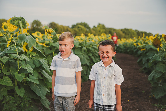 maternitysunflowers-28