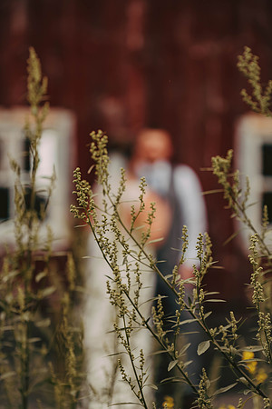 WEDDING-693