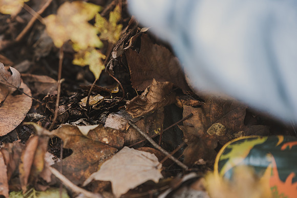 CITWmushroomhunt-57