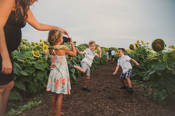 maternitysunflowers-23