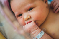 Kinley-31