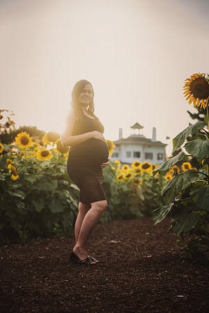maternitysunflowers-9
