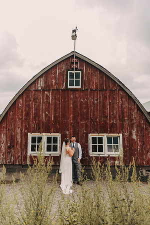WEDDING-683